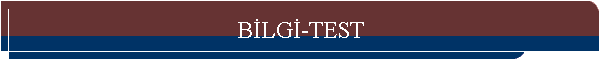 BLG-TEST